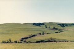 Eastern Colorado Prairie