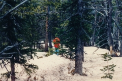 That's Dan. He is not watering the pine trees (contrary to popular belief)