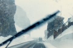 Blizzard on top of highest road in Rocky Mountain National Park