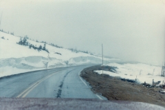 Tundra