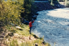 The expert fisherman