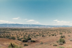 More desert