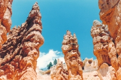 Bryce Canyon, what a postcard