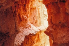 Ray and Jeff "the mule" in Bryce Canyon