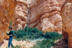 Bryce