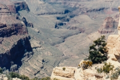 More Grand Canyon