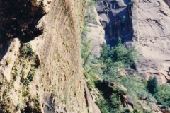 Weeping rock