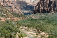 The river flowing through Zion that created this canyon