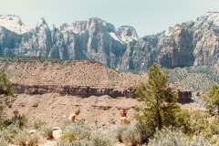 Leaving Zion