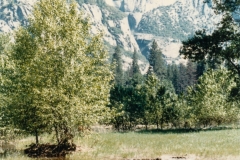 Yosemite Falls from far off