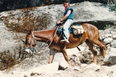 Jeff on a mule again