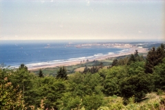 redwoods and the coast