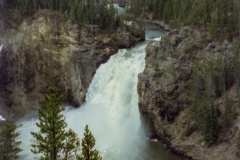 Yellowstone Falls