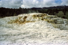 Mineral build-up at the Mammoth Hot Springs