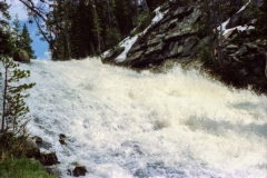 Wild white water