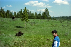 Jeff making themistake of waking up a moose