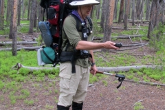 YNPBP2019-1102