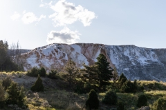 YNPBP2019-1304
